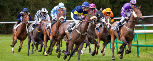 Course de chevaux