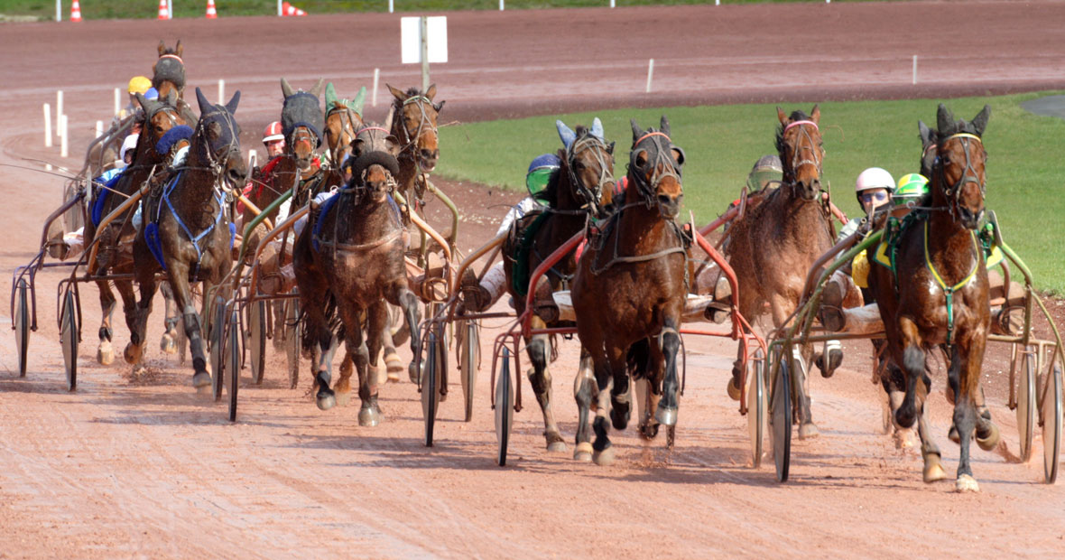 Pronostics du quinté